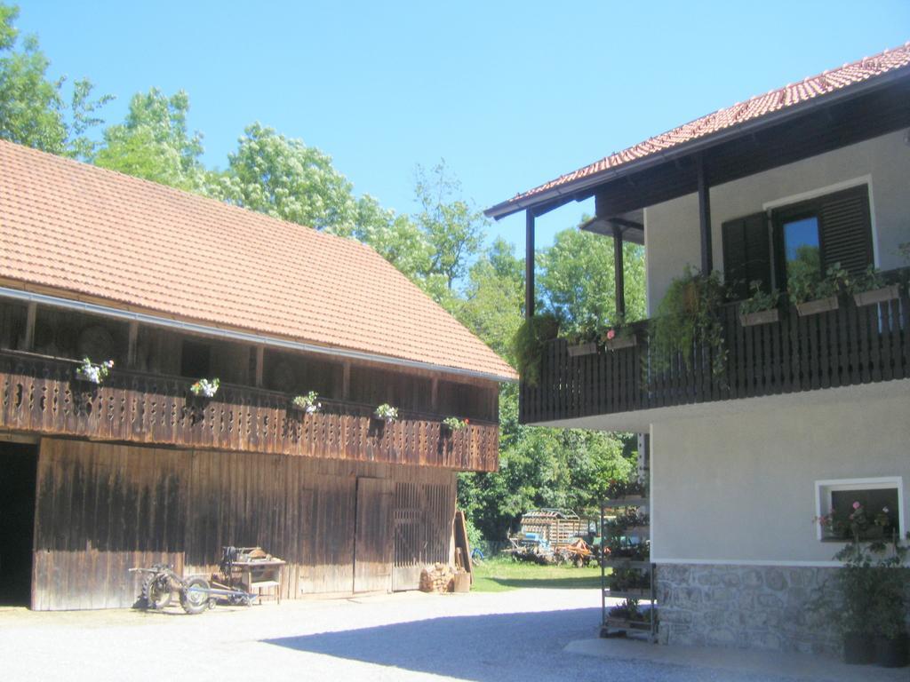 Guest House Kmetija Dane Exterior foto